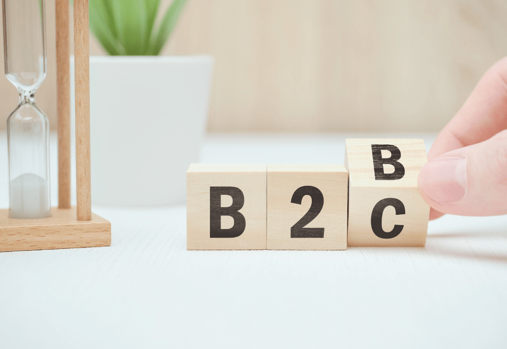 Laetus_Life_B2B_and_B2C_Marketing_Strategies